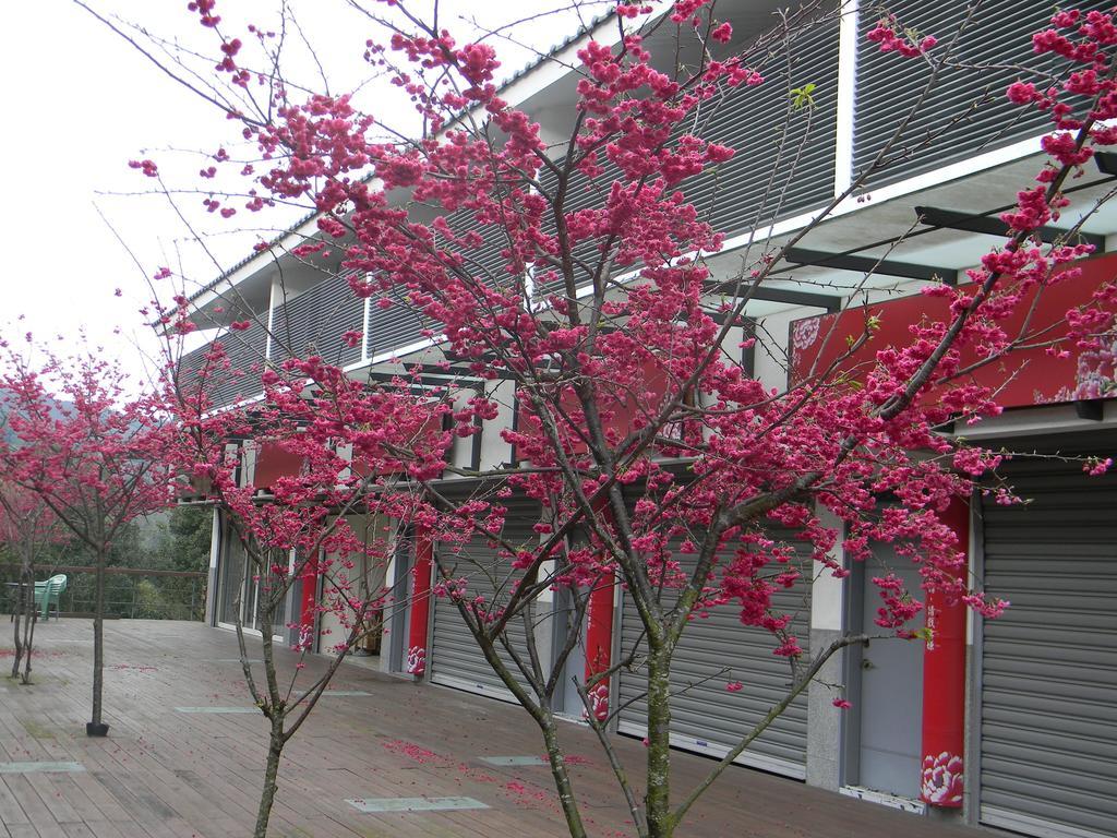 Miaoli Sanyi Bo Wu Guan Homestay Exterior foto